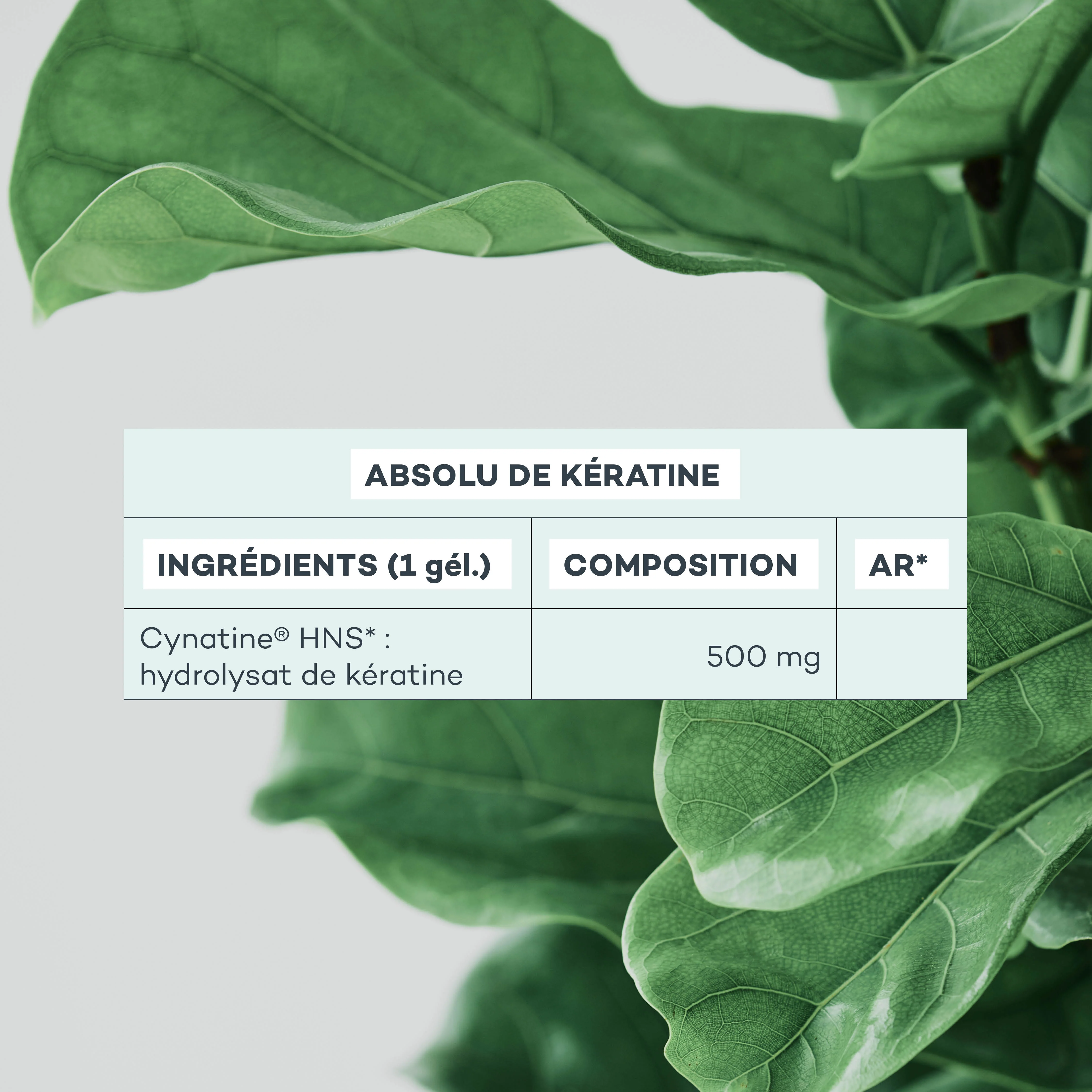 Absolu de Kératine - Image 6