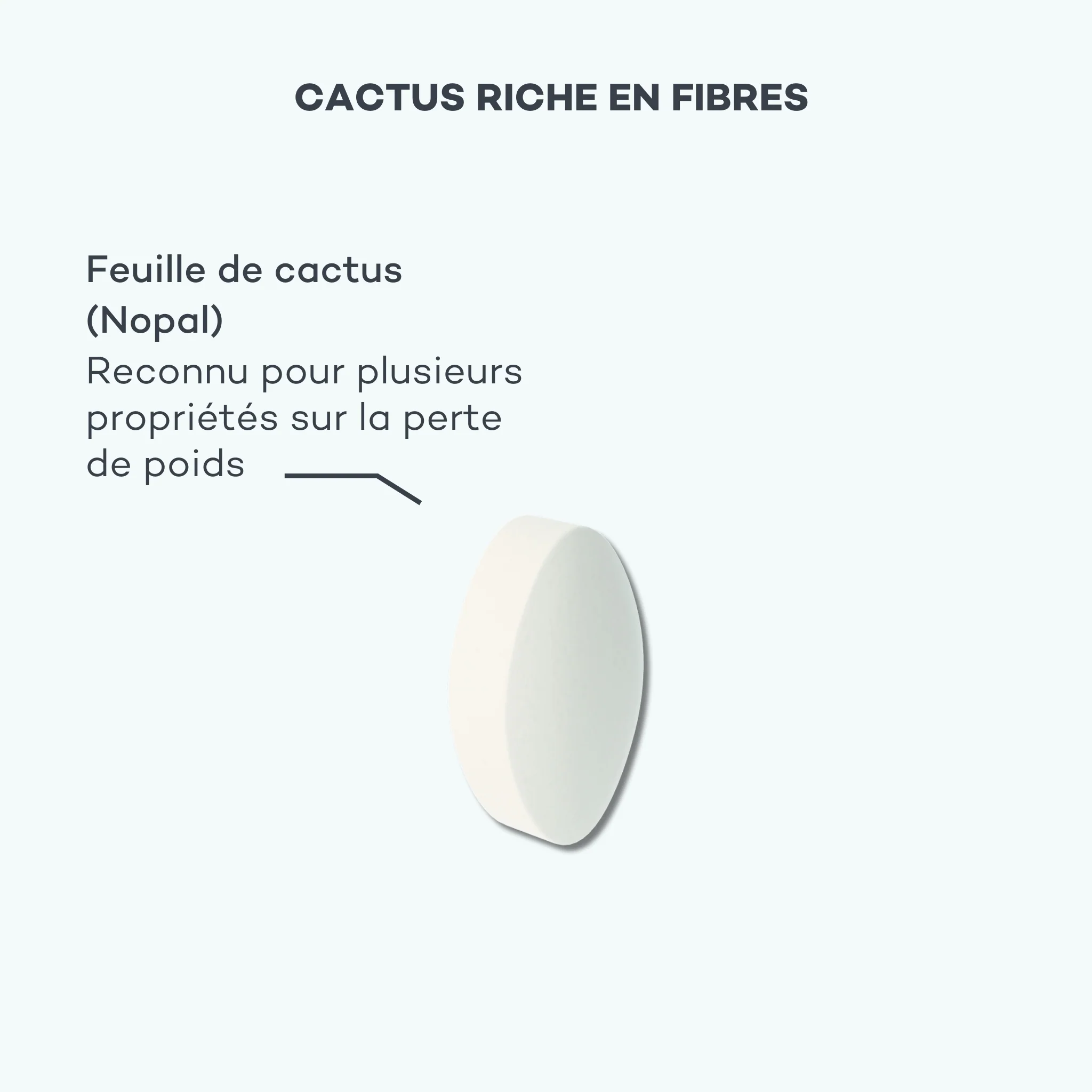 Absolu de Nopal - Image 3