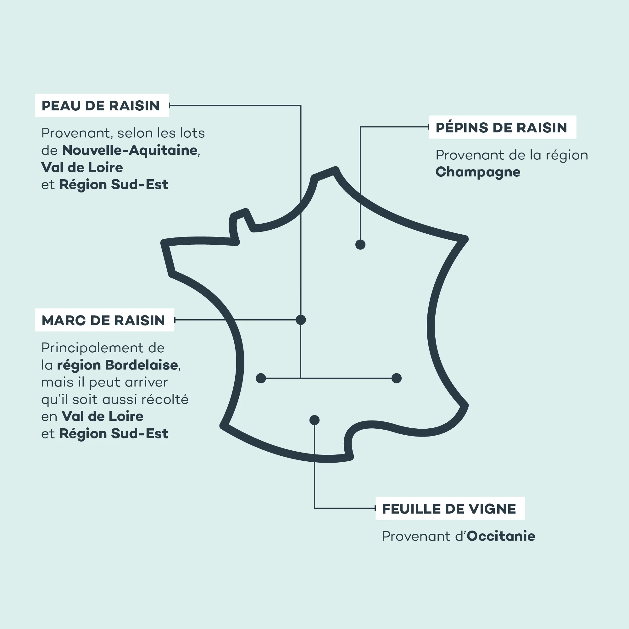 Absolu de Raisin - Image 5