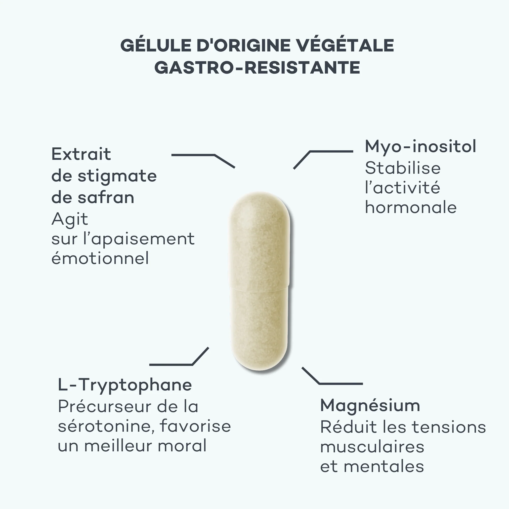 Activateur d'Équilibre - Image 3