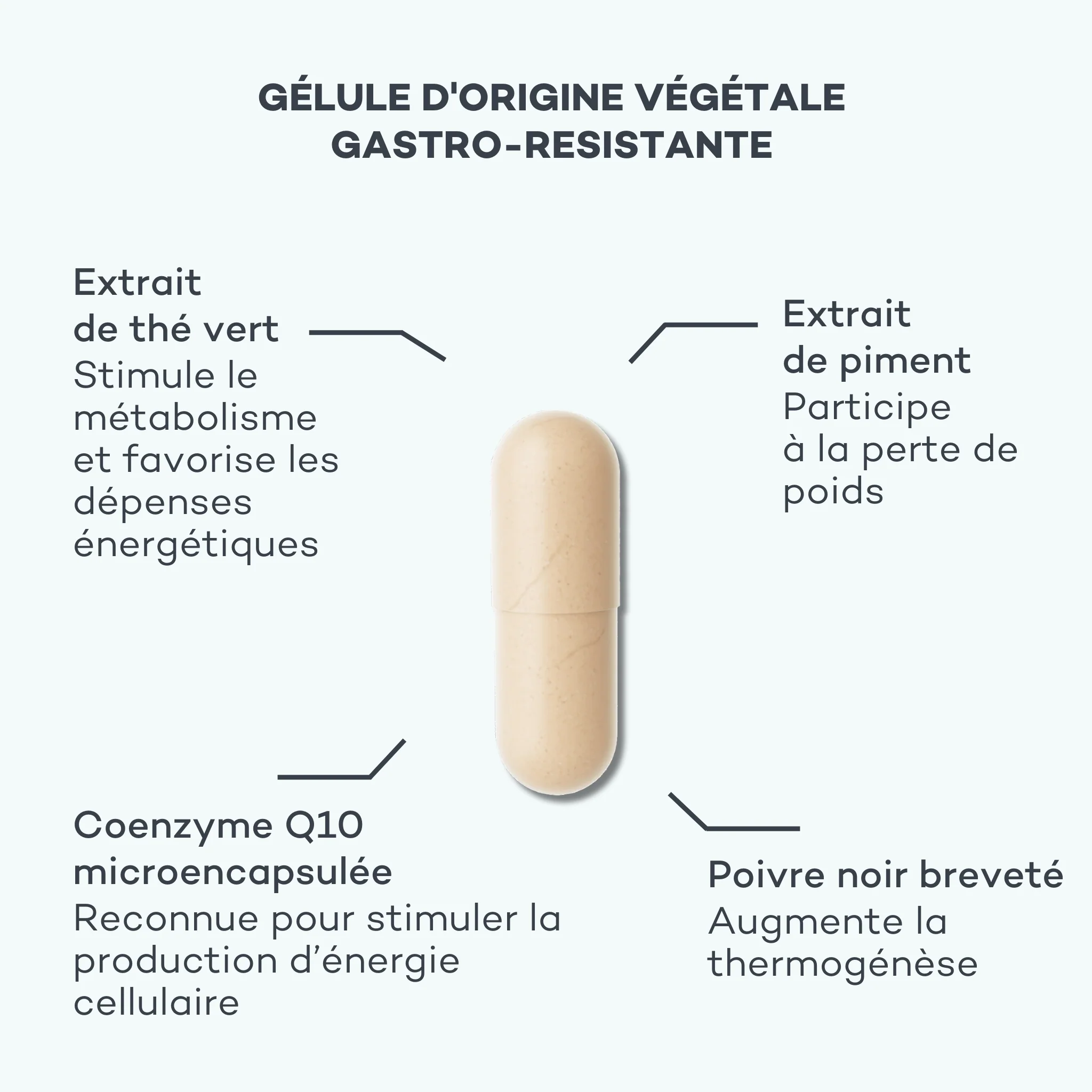 Activateur de Métabolisme - Image 4