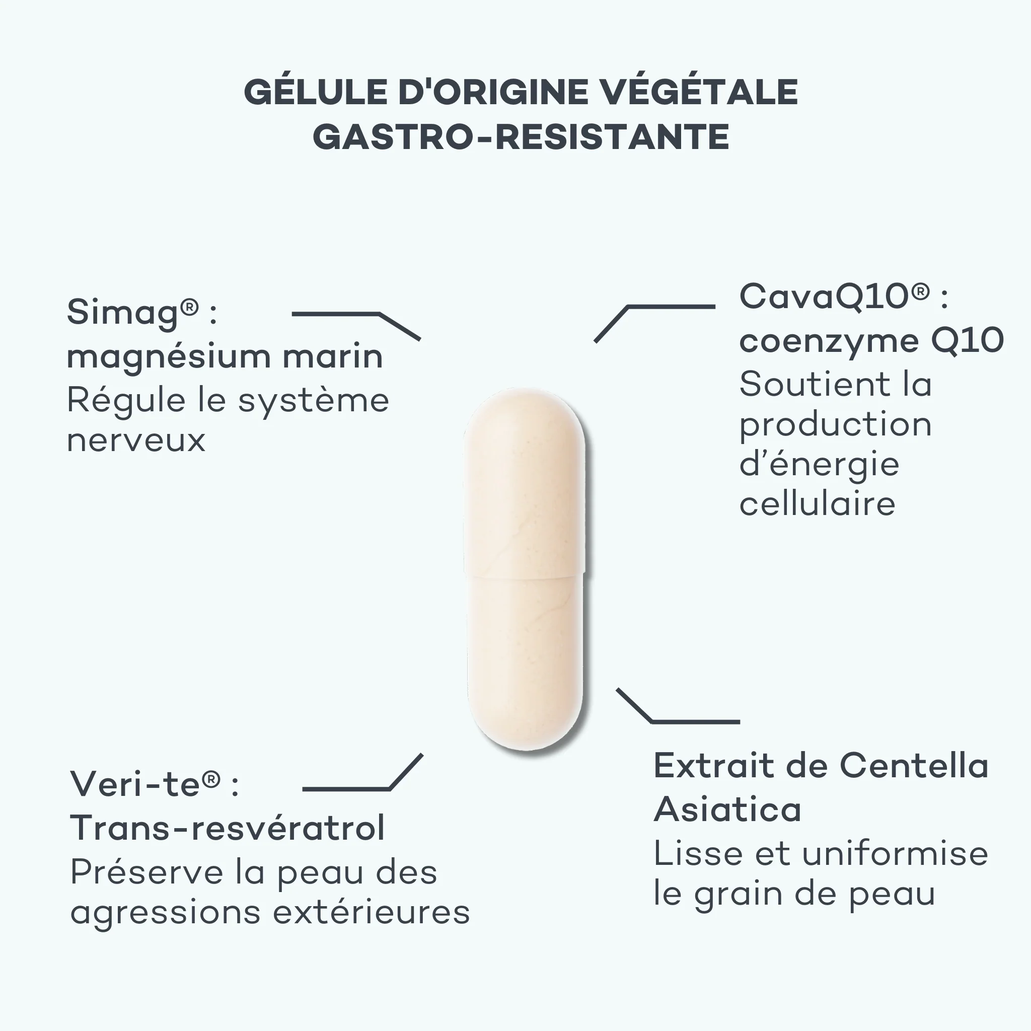 Activateur de Régénération - Image 3