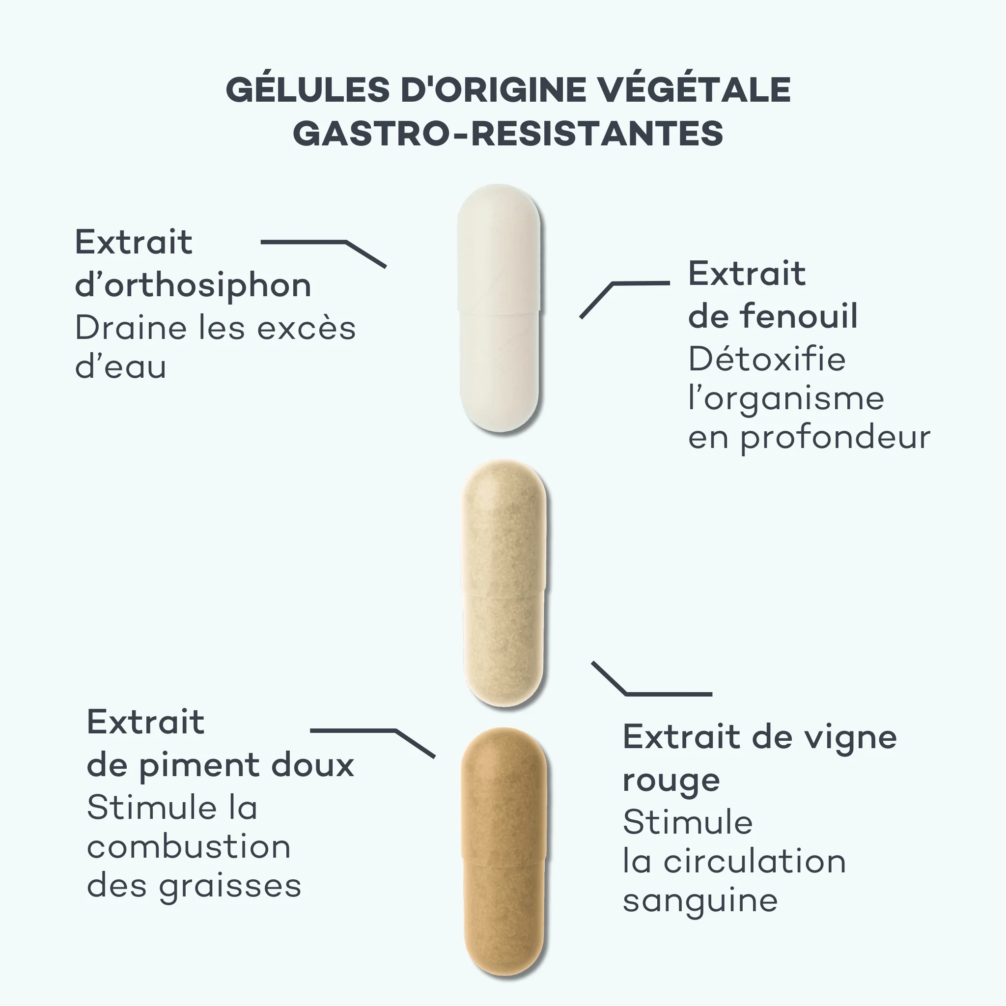 Routine Action-Capitons - Image 5