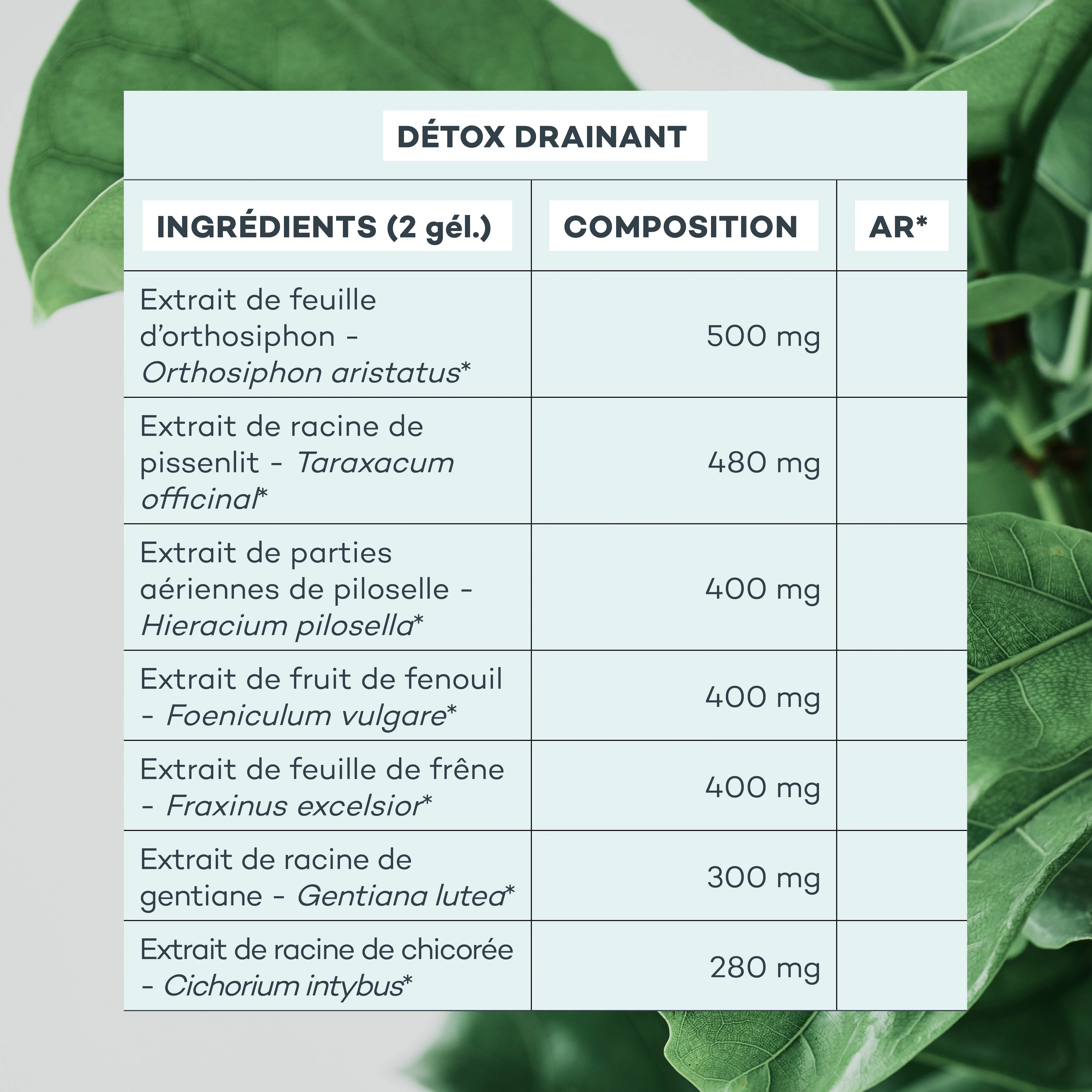 Routine Action-Capitons - Image 9