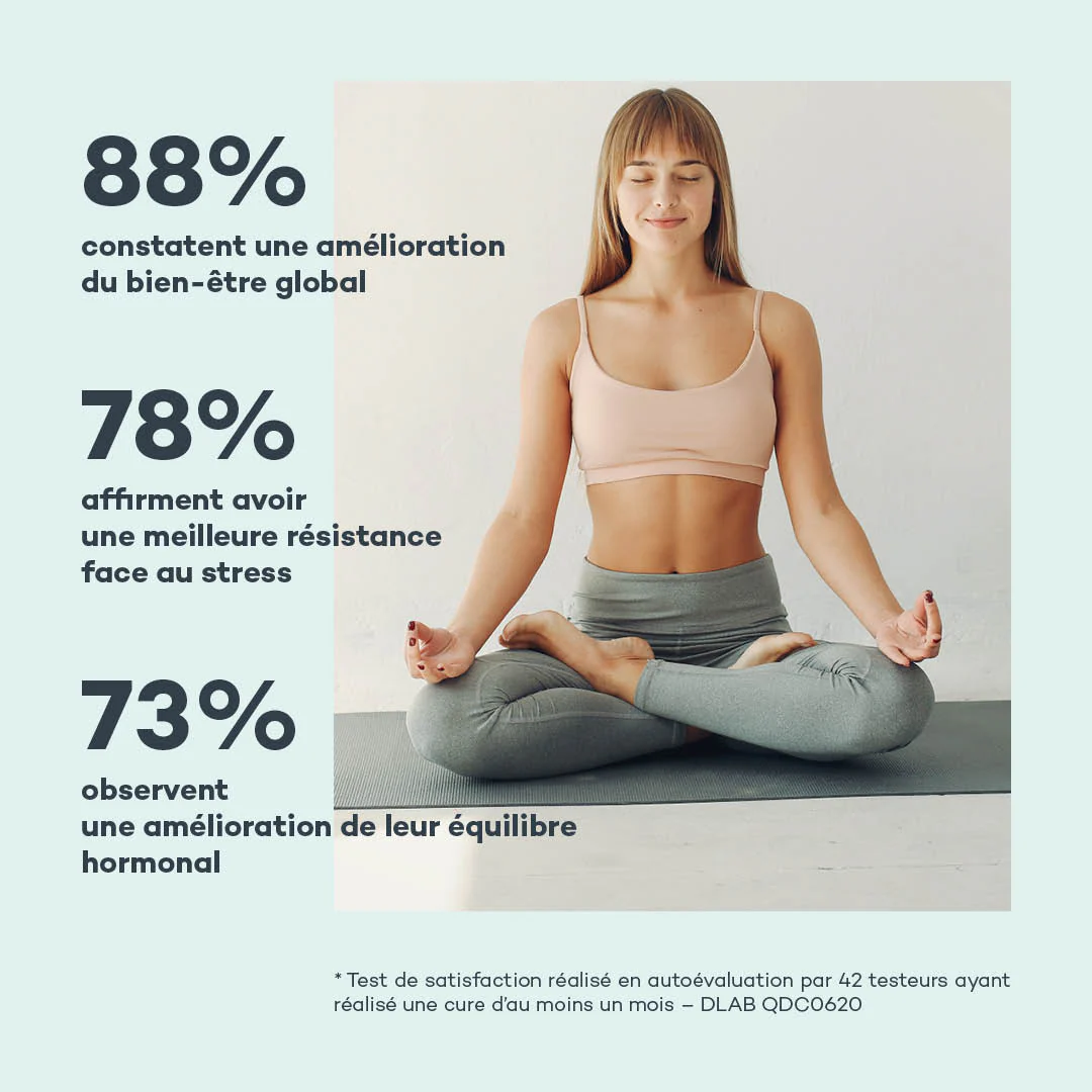 Charge-Mentale - Image 4