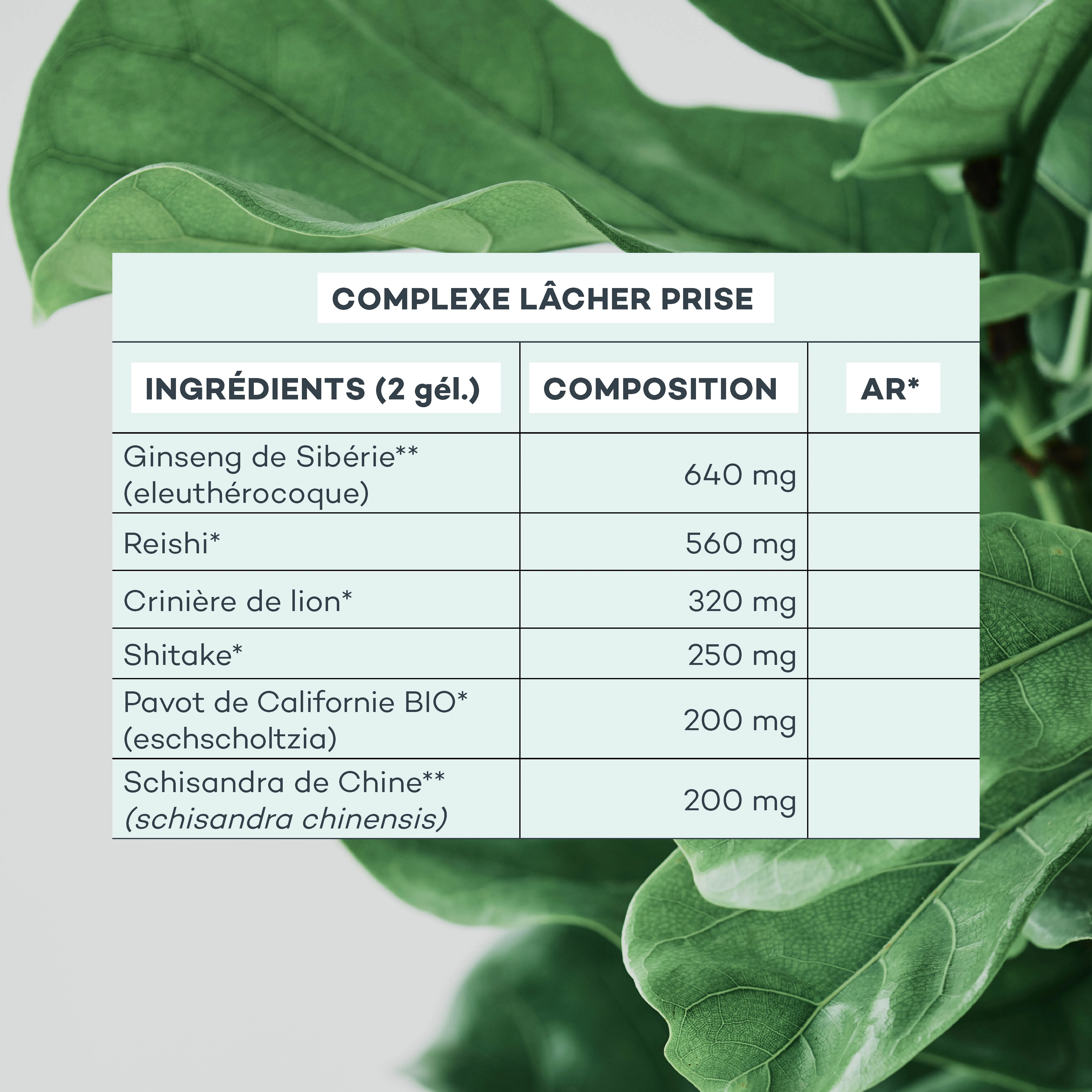 Charge-Mentale - Image 7