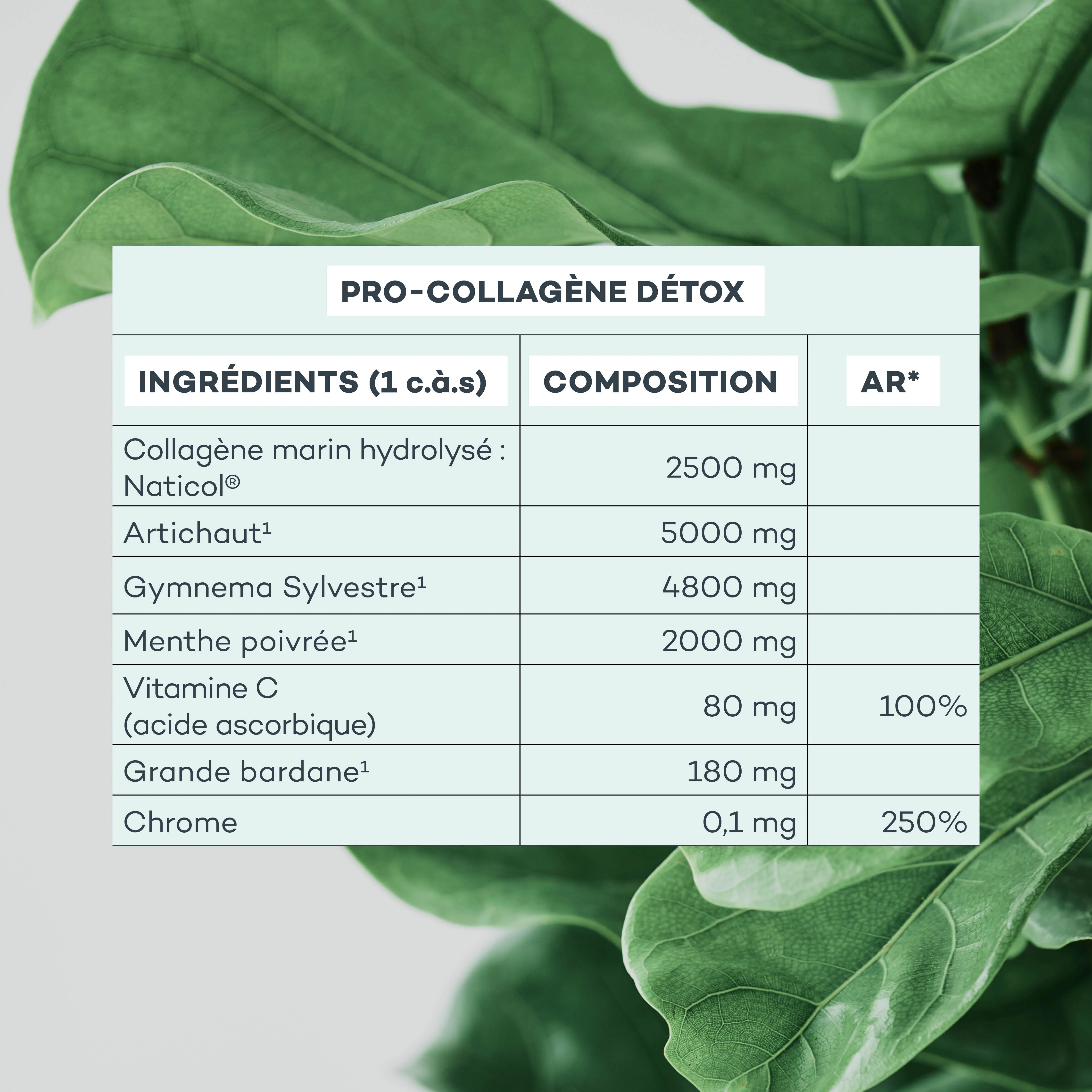 SOLDES - Coffret Noël Boisson Détox - Menthe Citron - Image 10