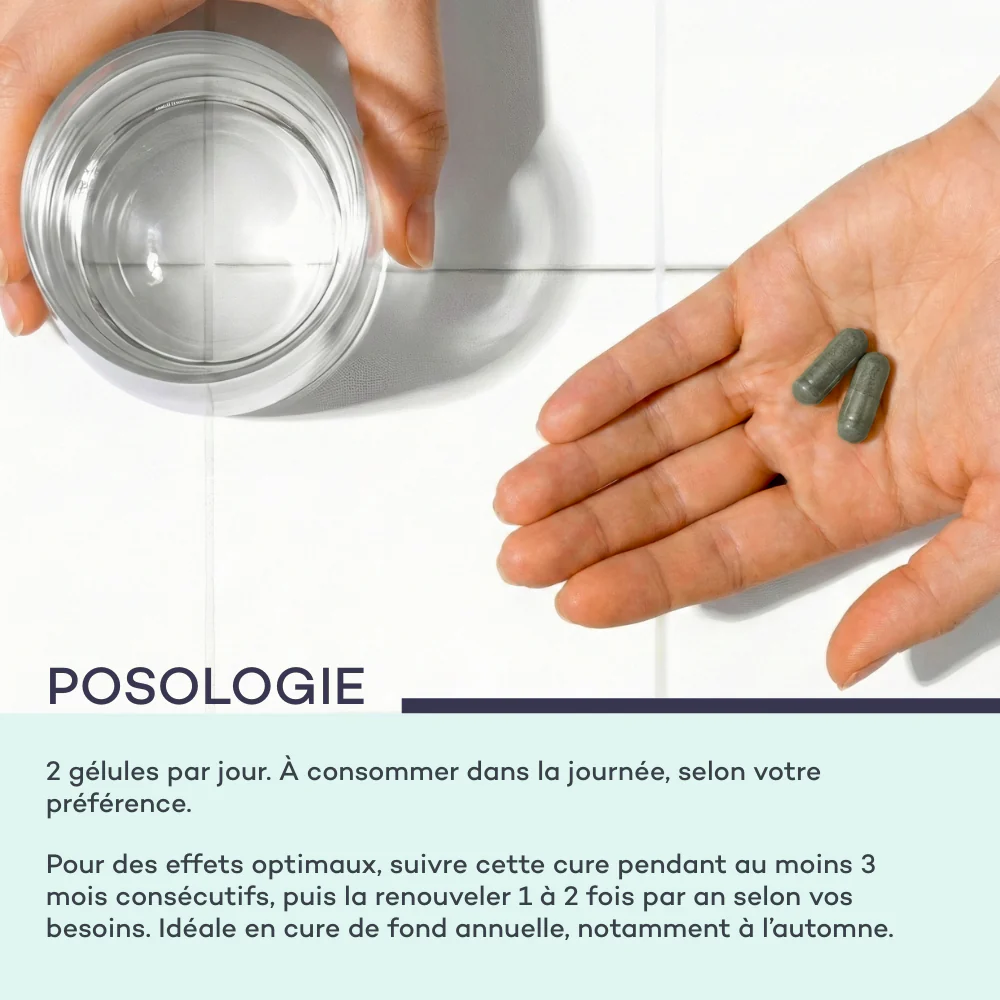 Complexe Hydra-Capillaire - Image 7