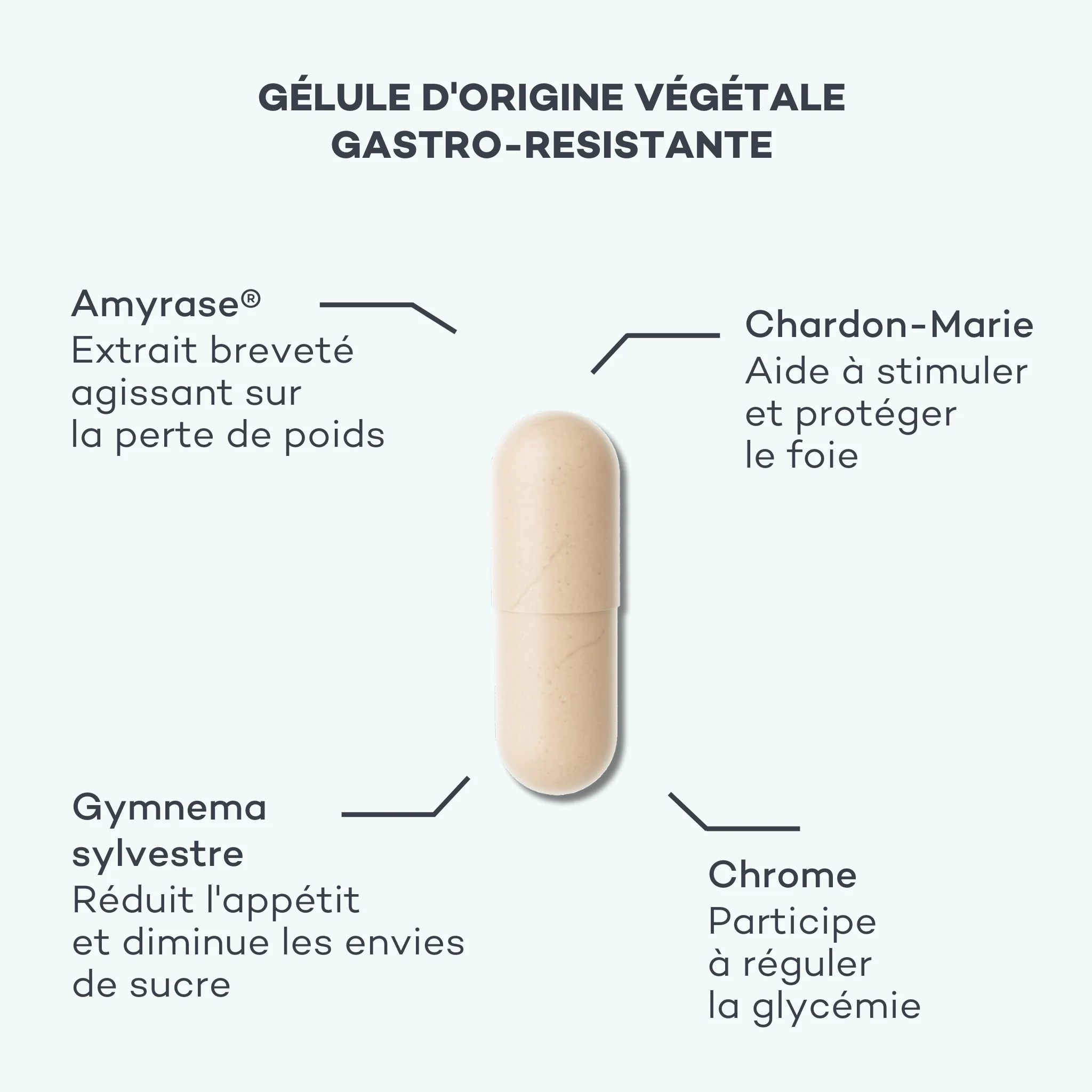 Détox Anti-Sucres - Image 3