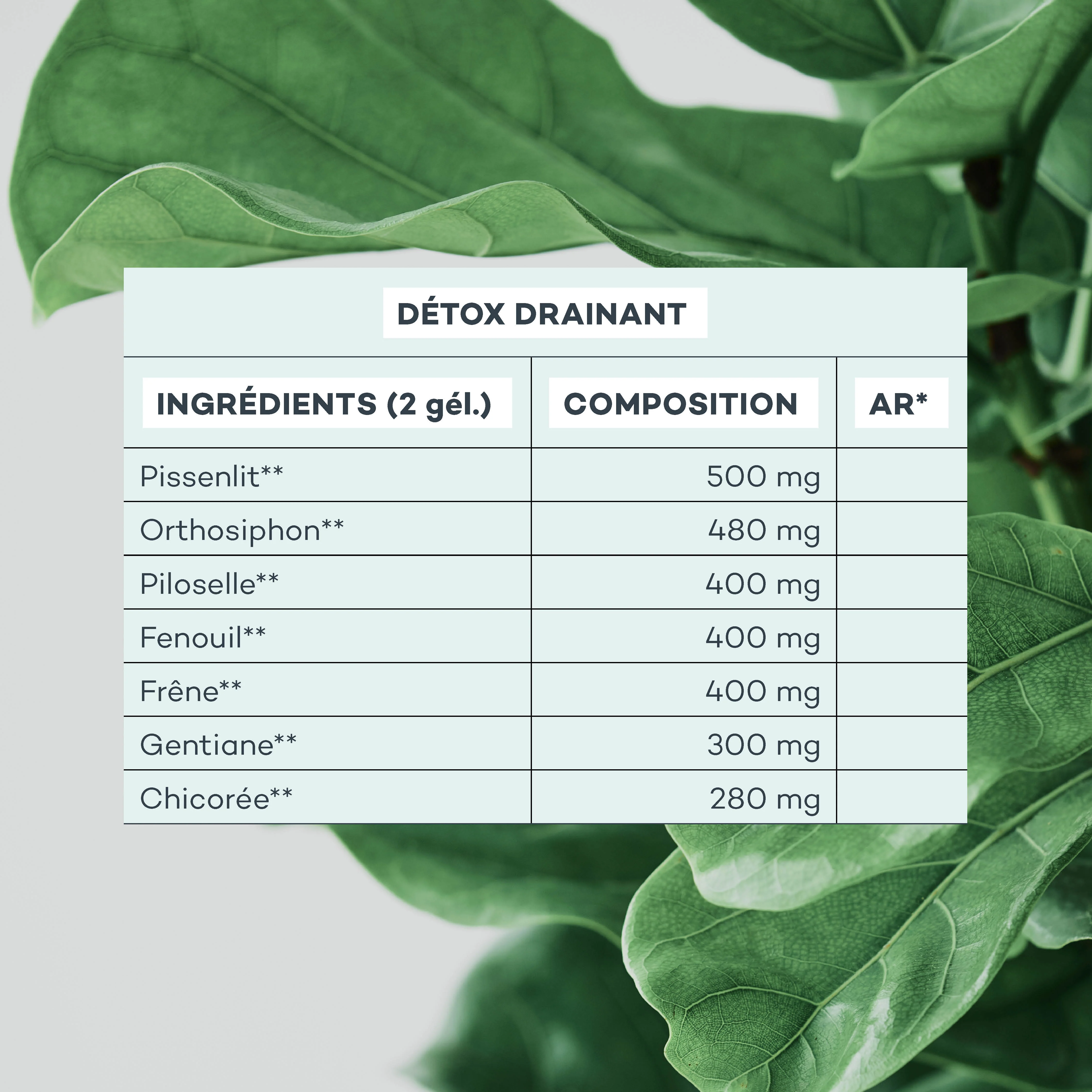 Détox Drainant - Image 7