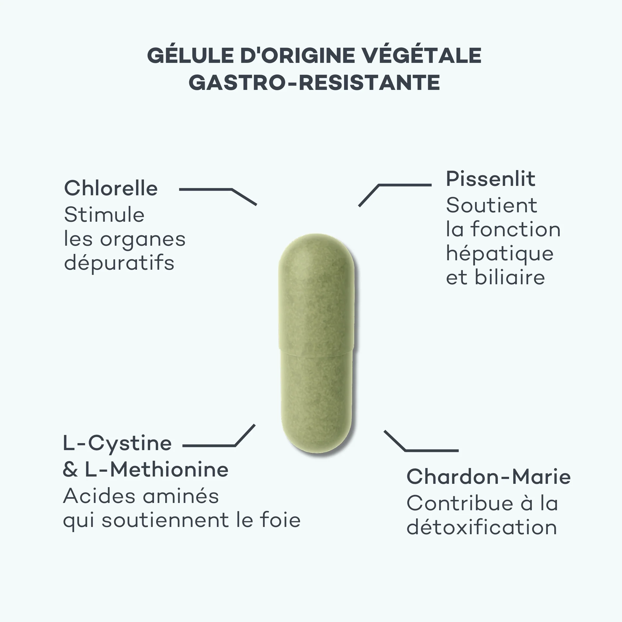 Détox Foie - Image 3