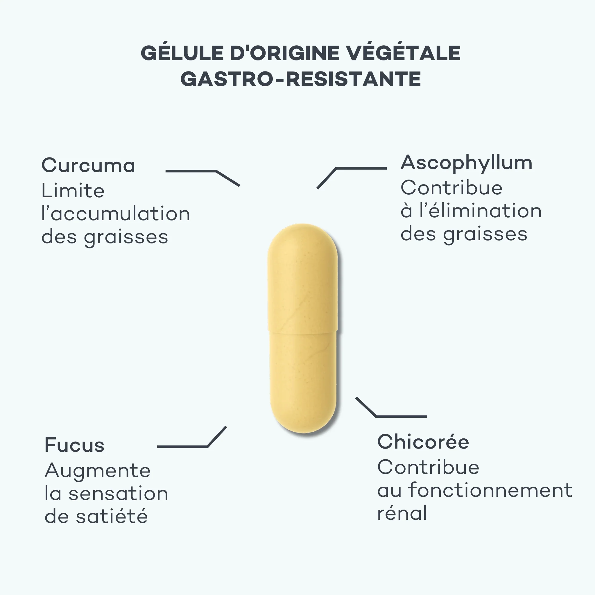Détox Minceur - Image 3