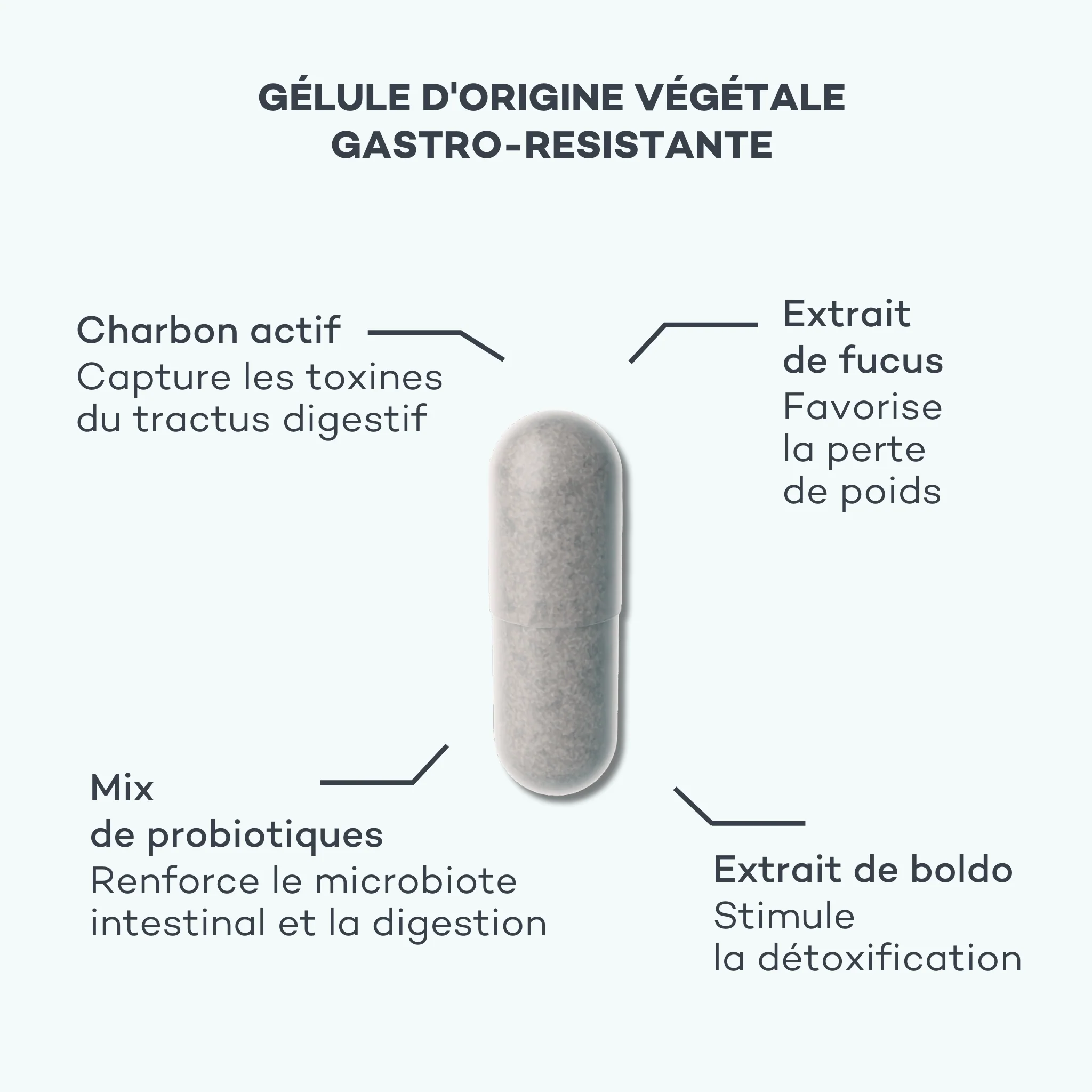 Détox Ventre Plat - Image 4