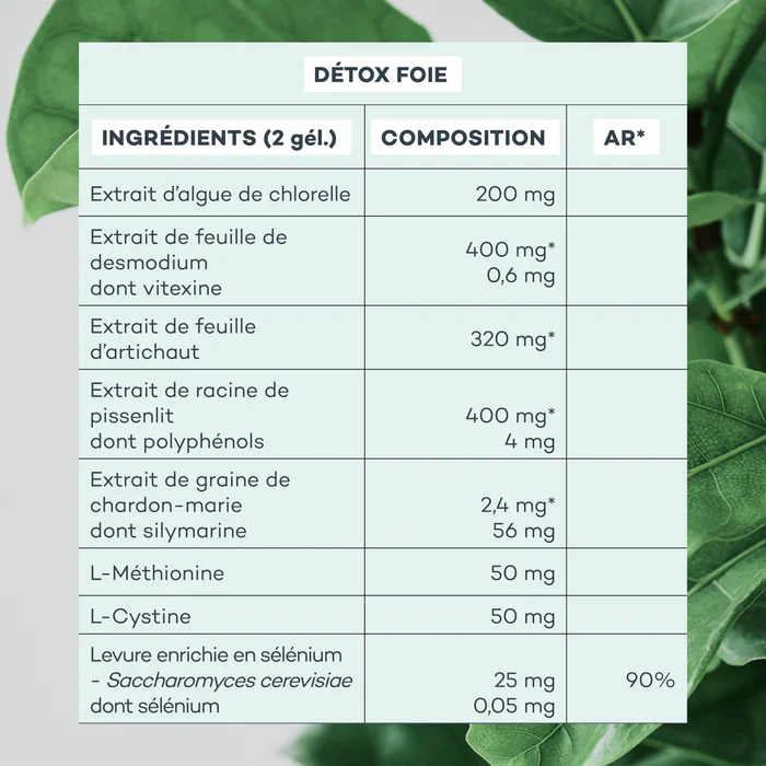 Energy Program - Image 8