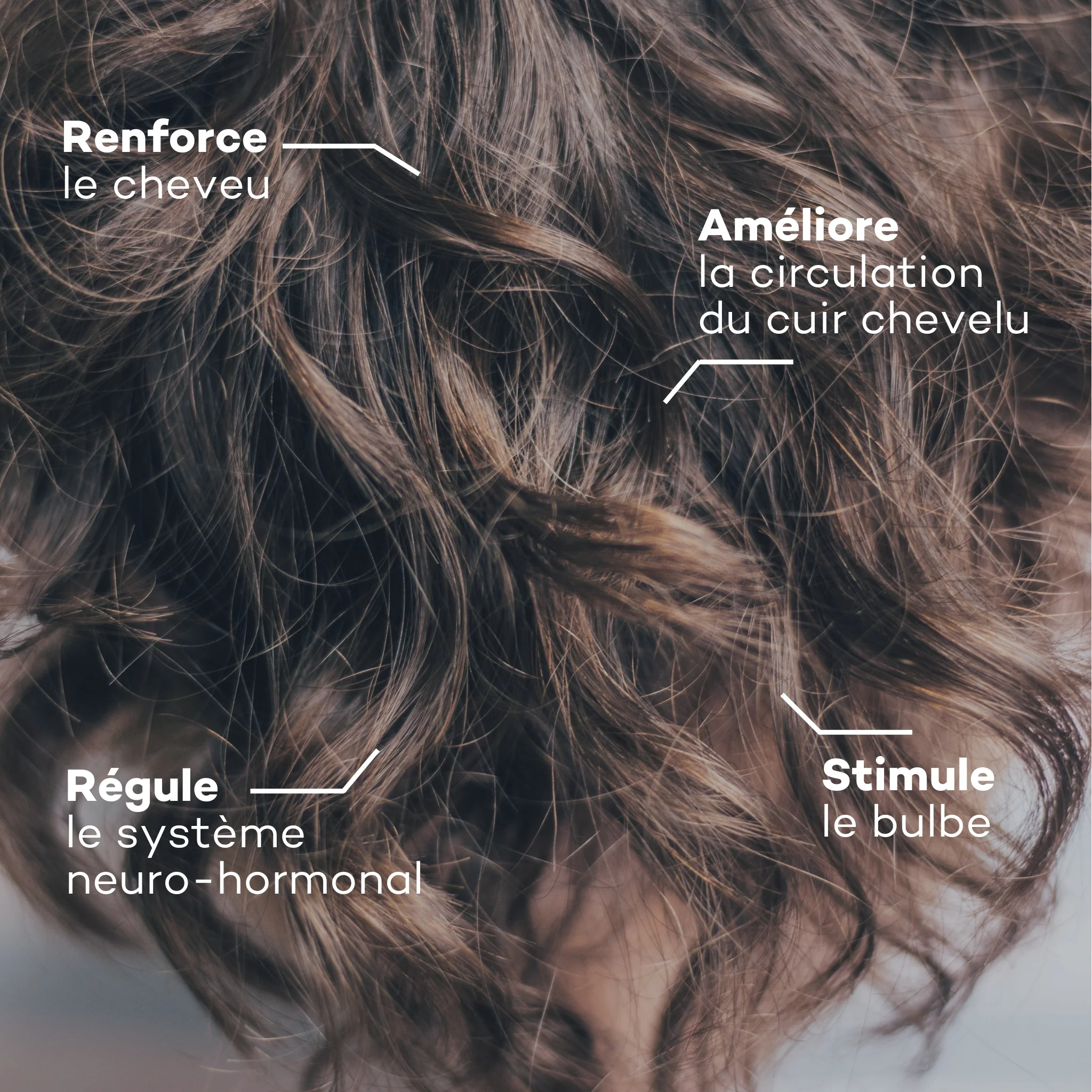 Hair Mass Program - Image 3