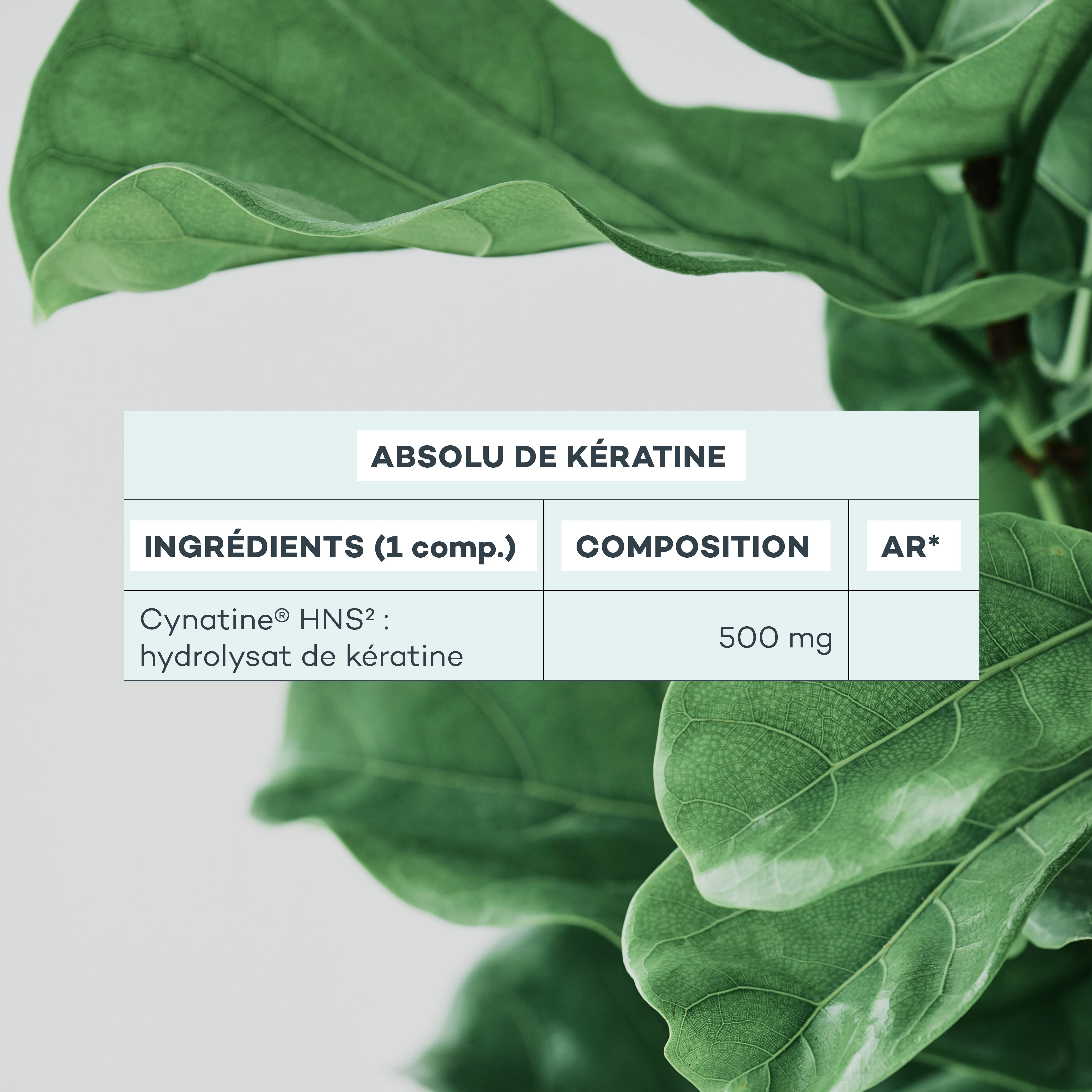 Hair Mass Program - Image 9