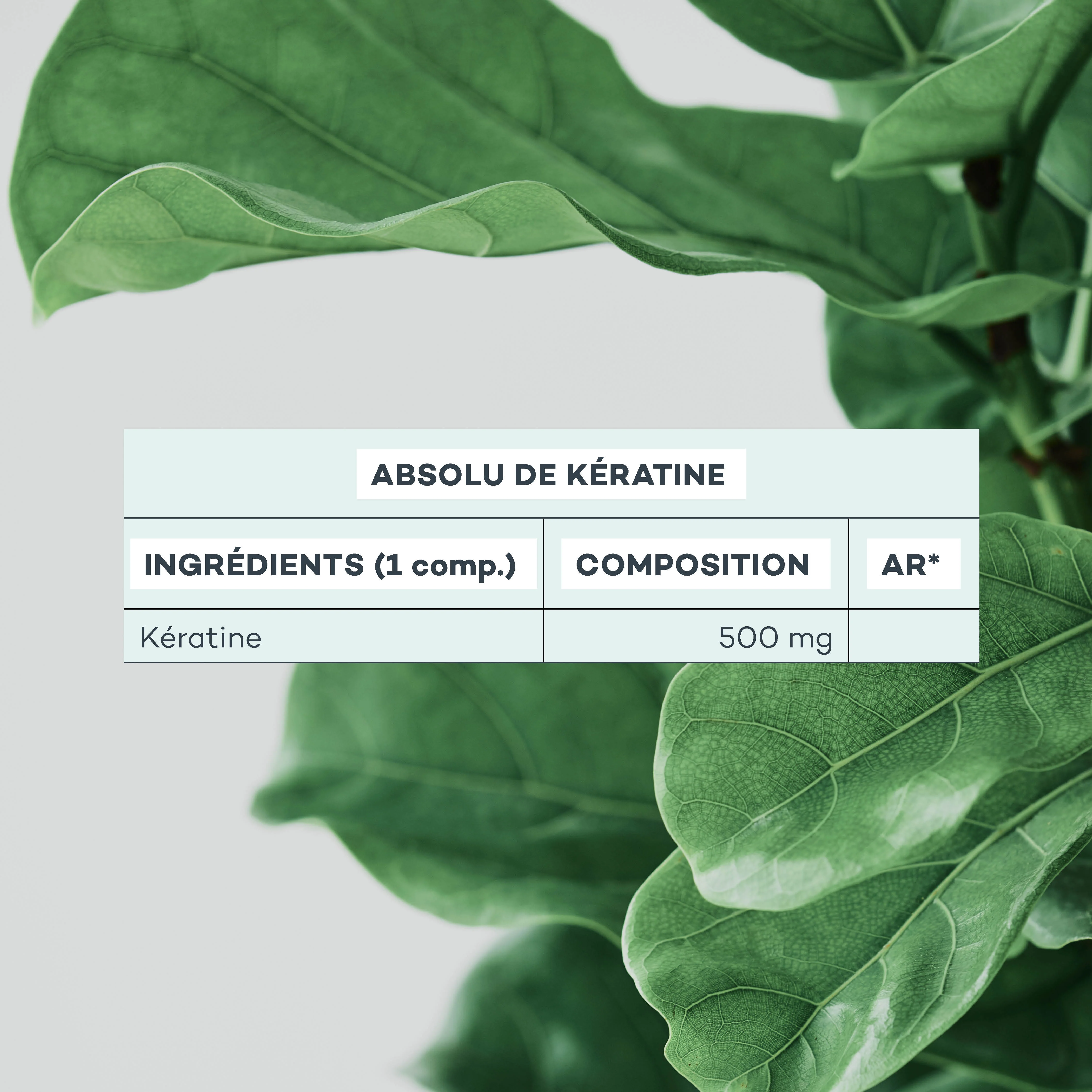 Hair Nutrition Duo - Image 8