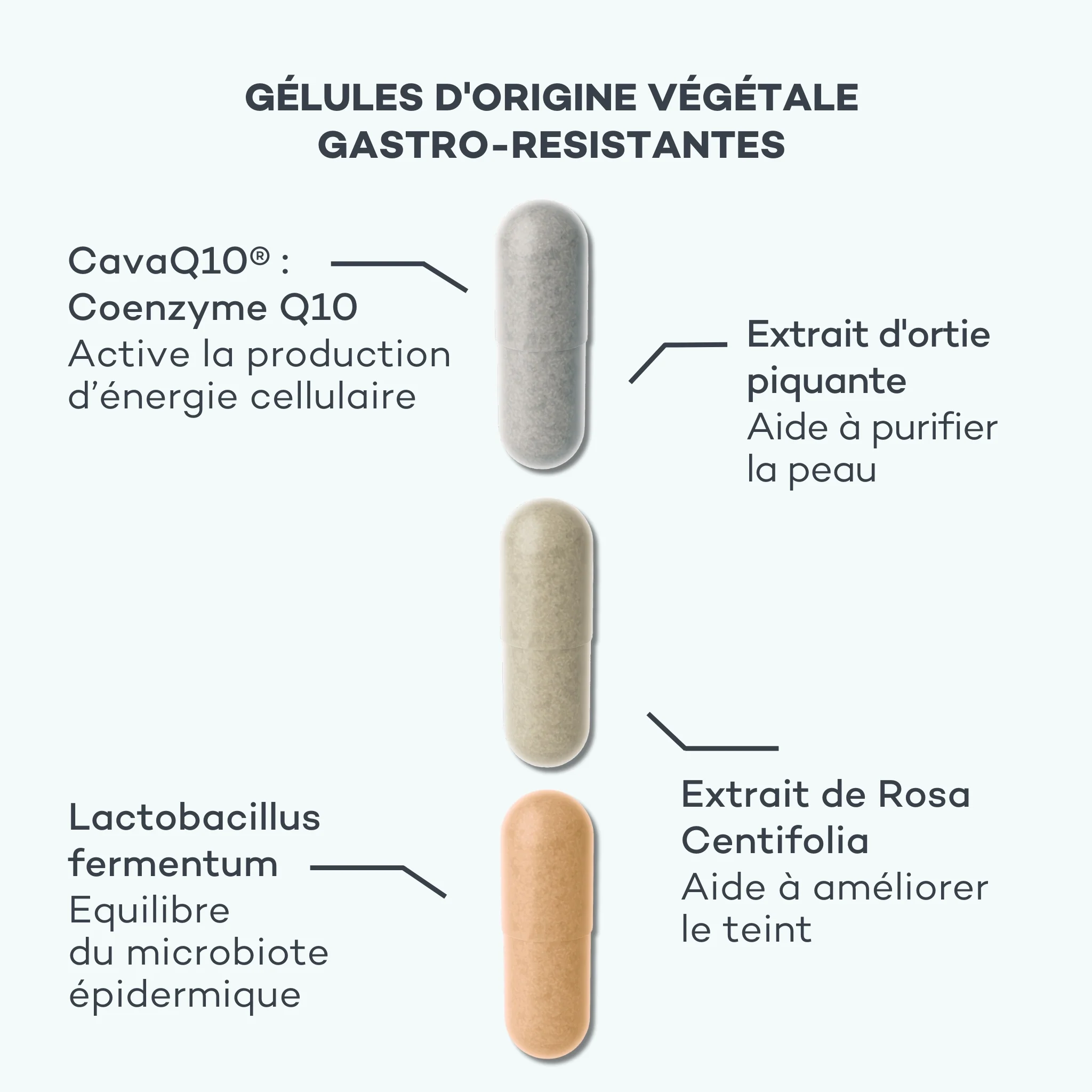 Perfect Skin Program - Image 4