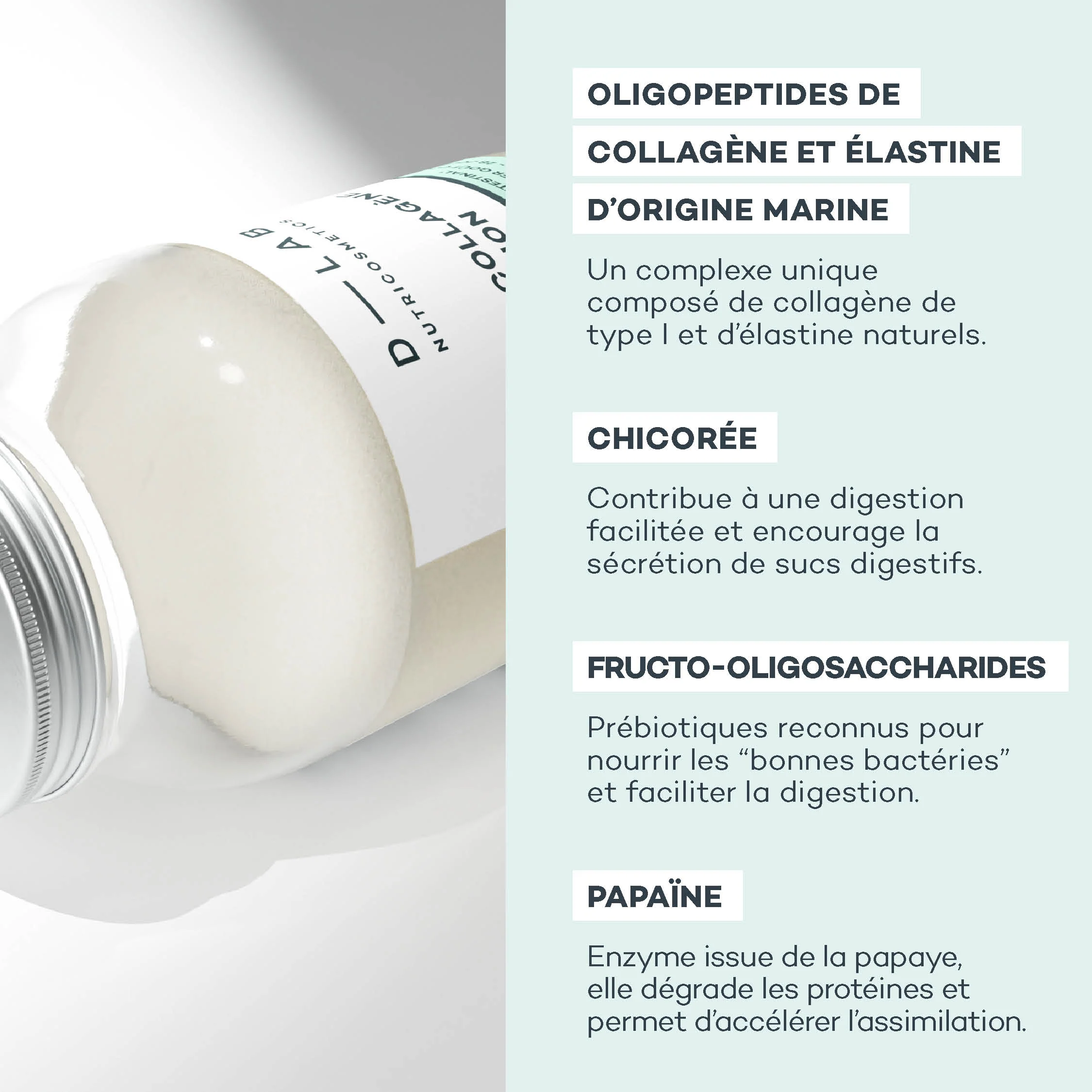 Boisson Digestion - Image 7