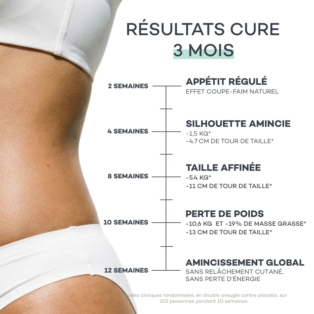 Sticks Ventre Plat - Mangue - Image 3