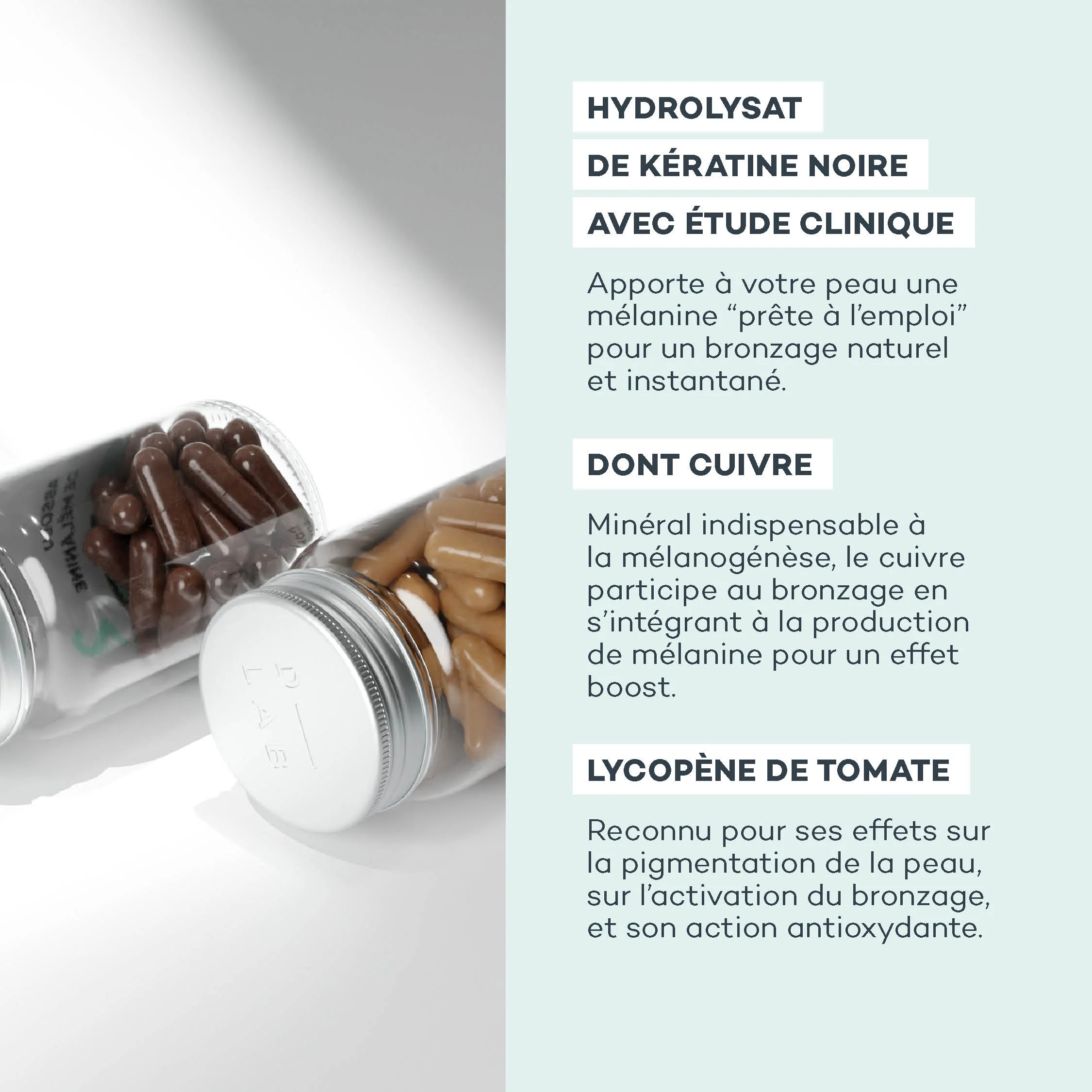 Pro-Solaire - Image 3