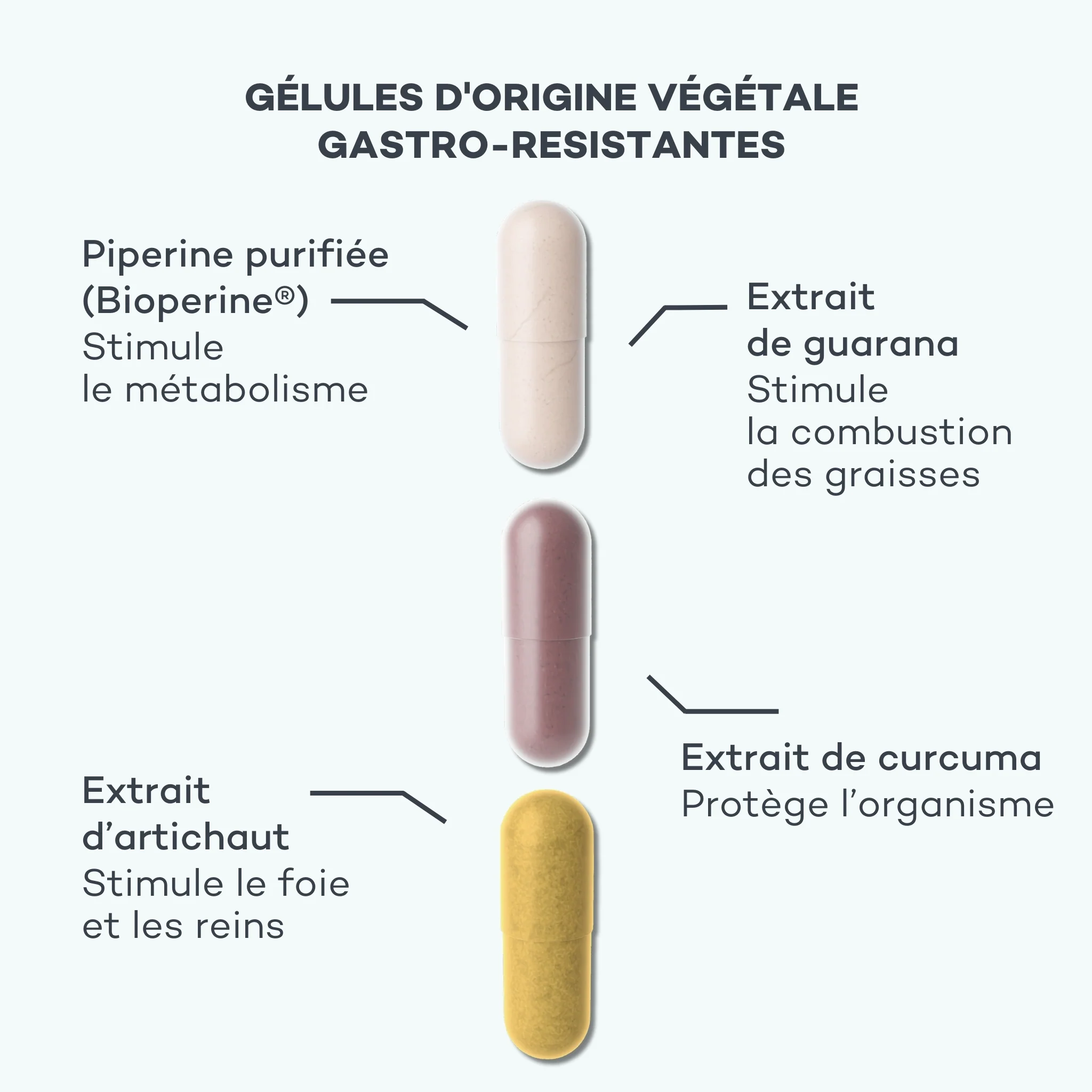 Routine Brûle-Graisses - Image 5