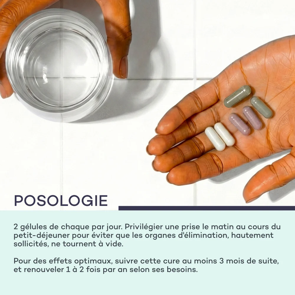 Flat Belly Program - Image 4