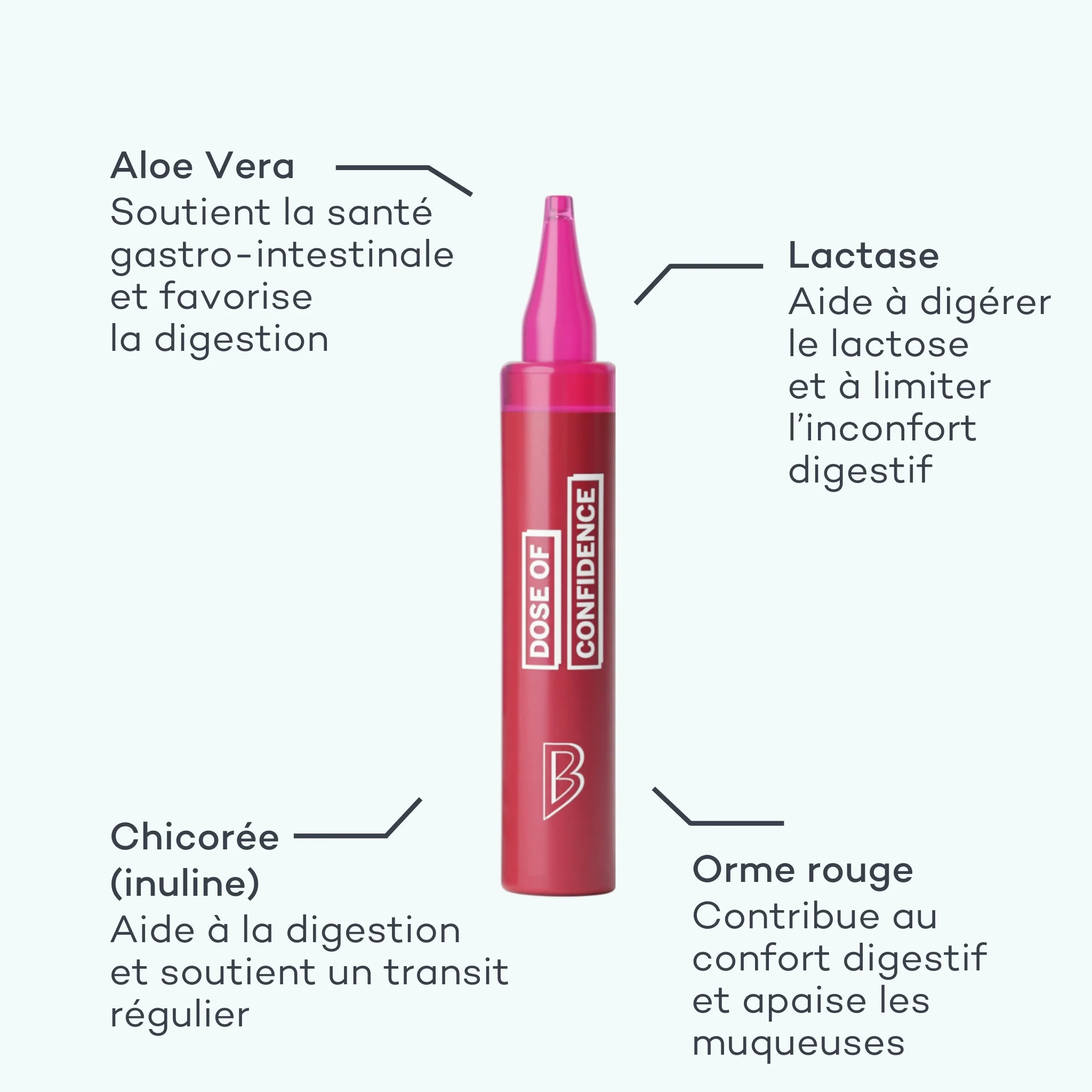 Sos ! Ventre en crise - Image 3